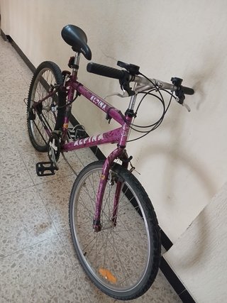 Bicicleta Alpina