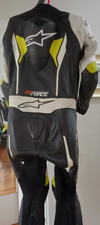 Mono Moto Alpinestars GP Force