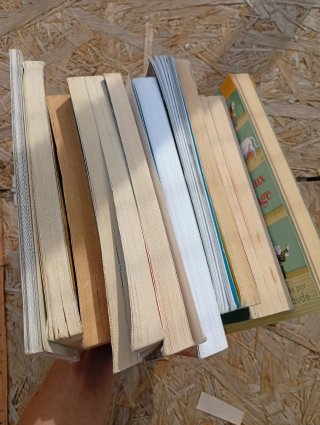 Lote 11 textos clásicos en francés texte classique