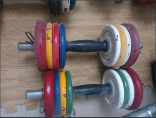 Mancuernas Ajustables Salter (Set)6kg Pesas