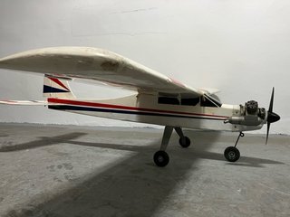Avion rc aeromodelismo