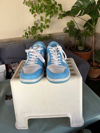 Zapatillas Nike Dunk Low Azul y Blanco