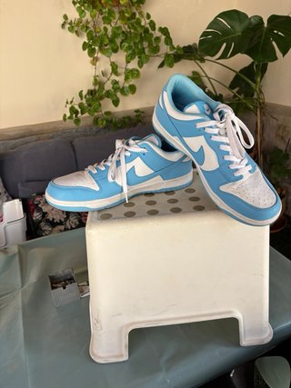 Zapatillas Nike Dunk Low Azul y Blanco