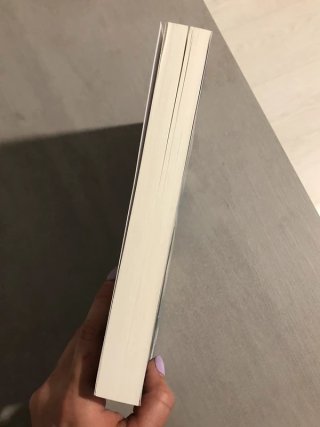 Libro Diario Del Viajero