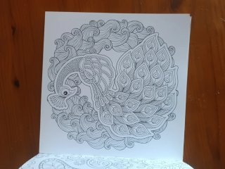 Libro de pintar