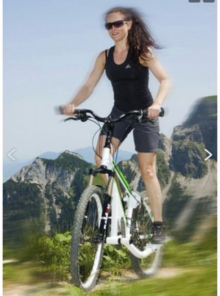 Bicicleta STREETSTEPPER (€3700 nueva)