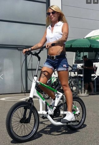 Bicicleta STREETSTEPPER (€3700 nueva)