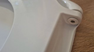 Tapa WC Roca Victoria Blanca bisagras acero inox