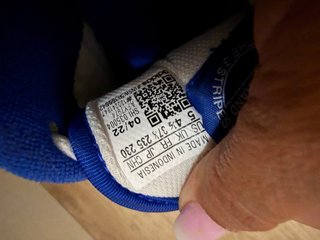 Zapatillas Adidas Blancas y Azules