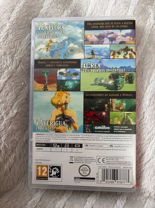 Zelda Tears of the Kingdom Nintendo Switch
