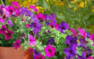 Set Isabel semi compatti balcone
