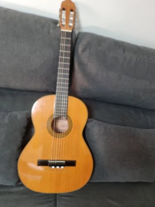 Guitarra amplificada flamenca