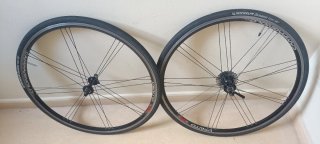 Ruedas Campagnolo Vento