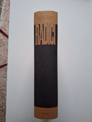 Radici - la saga di una famiglia americana