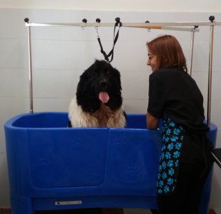 Bañera poliuretano Setterbakio