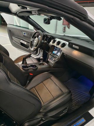 Ford Mustang 2.3 EcoBoost 231kW Mustang (Convertible)