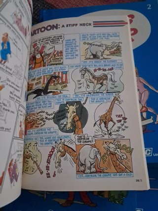 Inglés júnior bbc