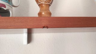 Mueble de salón con vitrina.