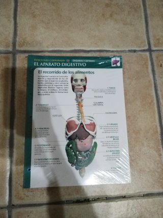 Fichas Cuerpo Humano Planeta Agostini