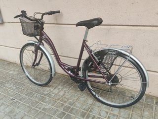 Bicicleta paseo