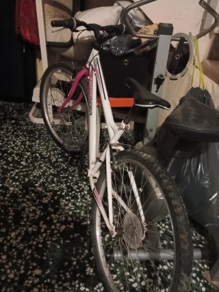 Bicicleta Freerider Blanca y rosa