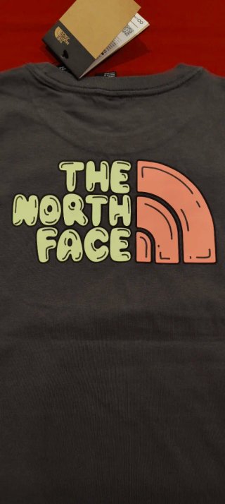 Camiseta The North Face S