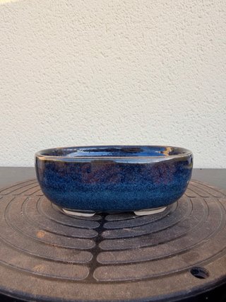 Maceta bonsai alta calidad