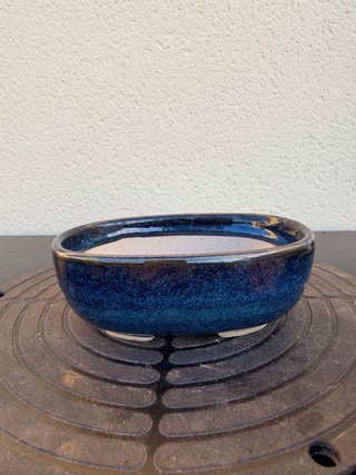 Maceta bonsai alta calidad