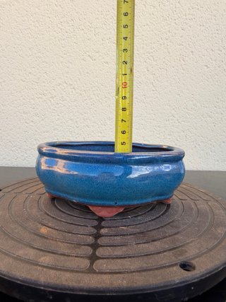 Maceta bonsai azul