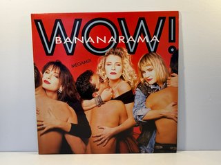 5 Vinilos 80s: Rick Astley Bananarama Fox Napoli
