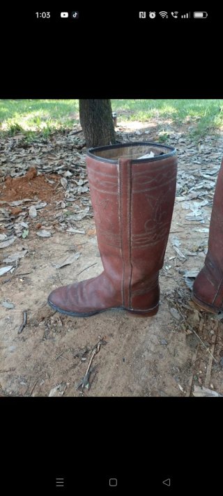 Stivali da cowboy marroni