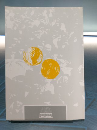 A Romanización de Galicia _ Felipe Arias Vilas. Ediciones A Nosa Terra, 1992.