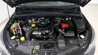 Renault Clio Evolution TCe 67 kW (91CV)
