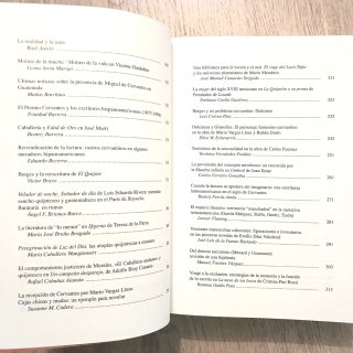 Territorios de La Mancha. Versiones cervantinas...