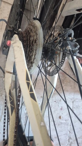 Orbea 29 Bicicleta Montaña