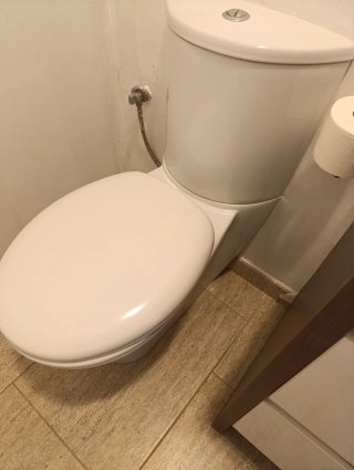 Mueble baño y WC madera y porcelana