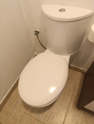 Mueble baño y WC madera y porcelana