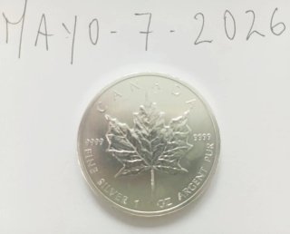 5 Monete in Argento Maple Leaf Canadese da 1 oz 9999