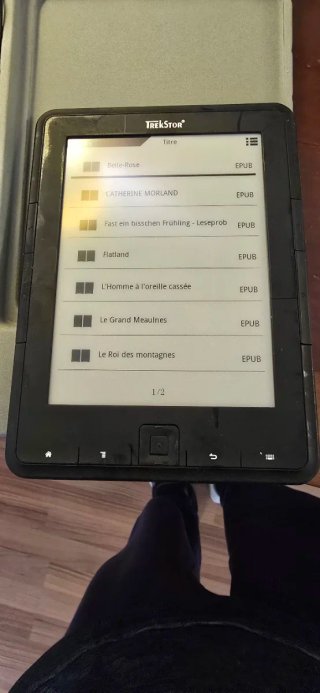 Lector de libros electrónicos TrekStor Pyrus