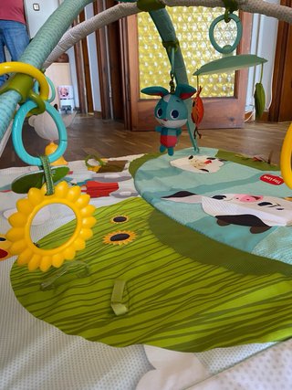 Gimnasio Infantil Tiny Love