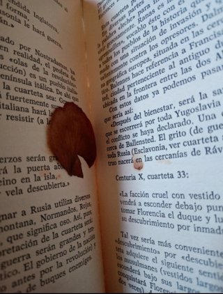 Profecias de Nostradamussustituto Isbn 84-8403