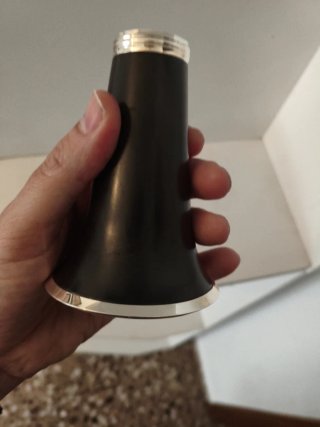 Campana Ottmar Viena Reform