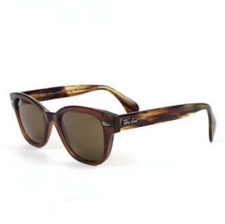 Gafas de sol Ray-Ban RB0880S Mujer Marrón