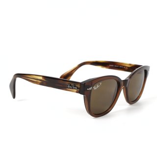 Gafas de sol Ray-Ban RB0880S Mujer Marrón