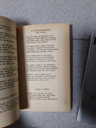 Poesía completa de Holderlin