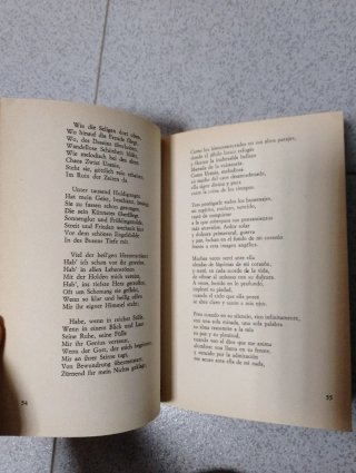 Poesía completa de Holderlin