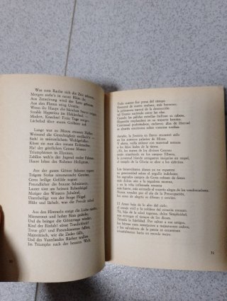 Poesía completa de Holderlin