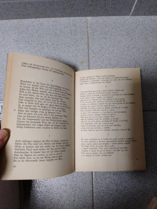 Poesía completa de Holderlin