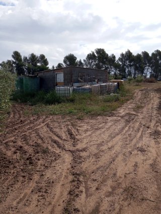 Terreno