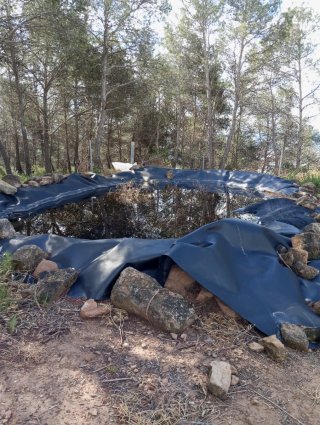 Terreno